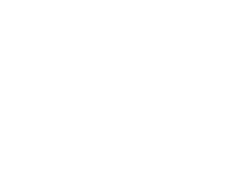 Shape Border